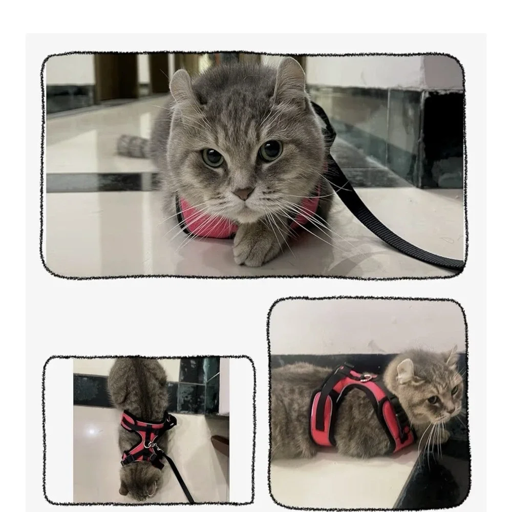 Pet XS Cat Harness Collar Soft Chest Strap Blue